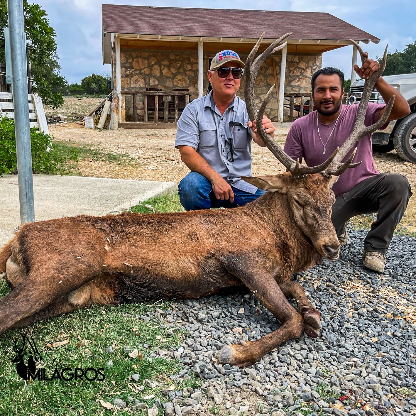 Hunter with trophy elk during an elk hunt at Los Milagros Ranch in Texas.